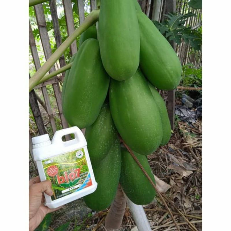 BIO7 PUPUK CAIR ORGANIK BIOAKTIFATOR ORIGINAL