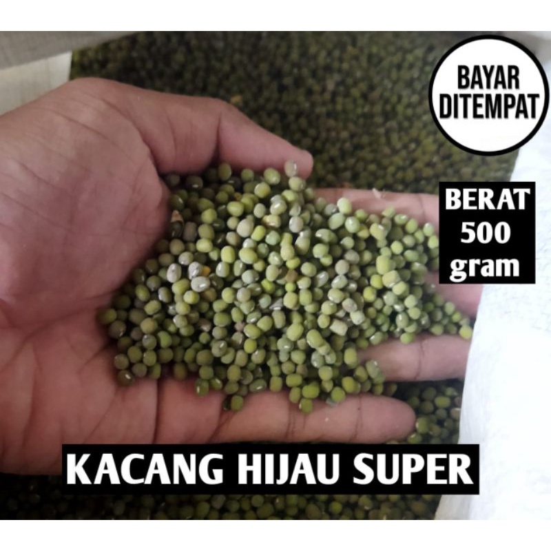 

Kacang Hijau Super