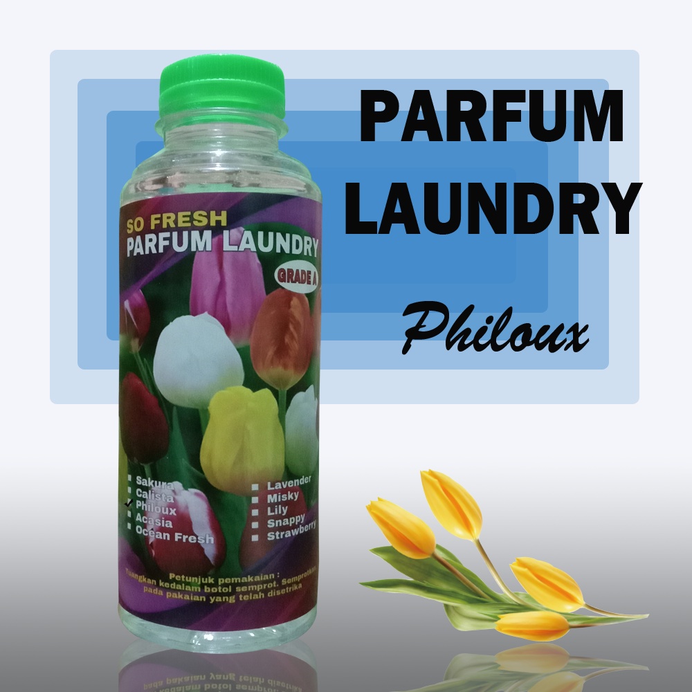 PARFUM LAUNDRY AROMA PHILOUX 250 ML