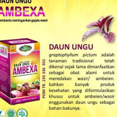 

Stok terbaru Kapsul AMBEXA Darusyifa isi 60 kapsul Ekstrak Daun Ungu Herbal Alami Wasir murah