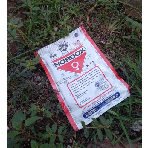 fungisida nordox 100g/obat busuk daun / pencegah busuk daun