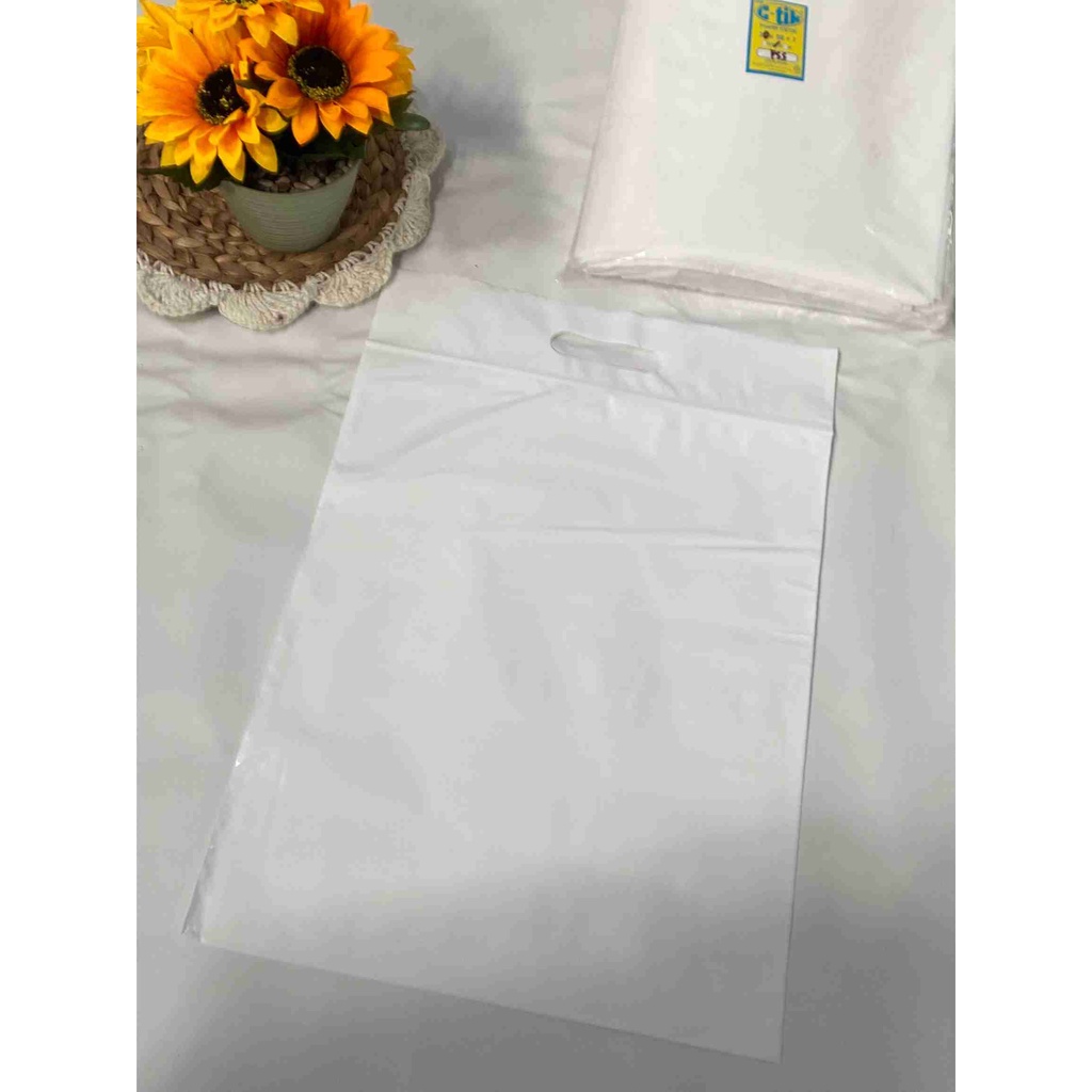 Plastik Packing Online Shop Ziplock Plong Bahan Glossy