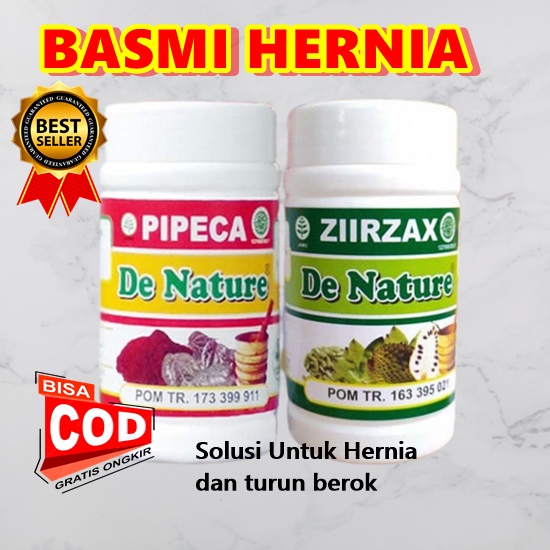 

Obat Hernia, Turun Berok, Hernia inguinalis, Hernia femoralis, Hernia umbilikus, Benjolan Pria Wanita .Terapi Hernia Herbal Ziirzax Pipeca Denature Asli