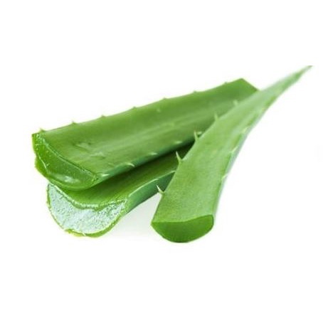 

LIDAH BUAYA SEGAR 440 GR