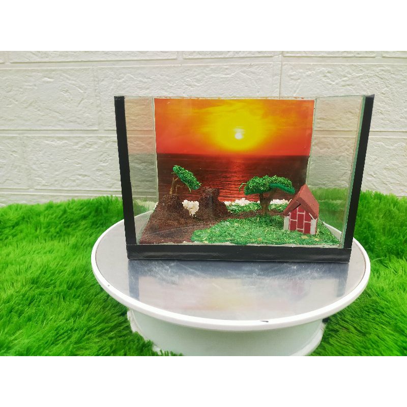 akuarium/soliter chana tema sunset/akuarium unik