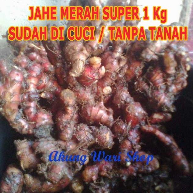 

Jahe Merah Medan Super 1 kg (sudah di cuci)