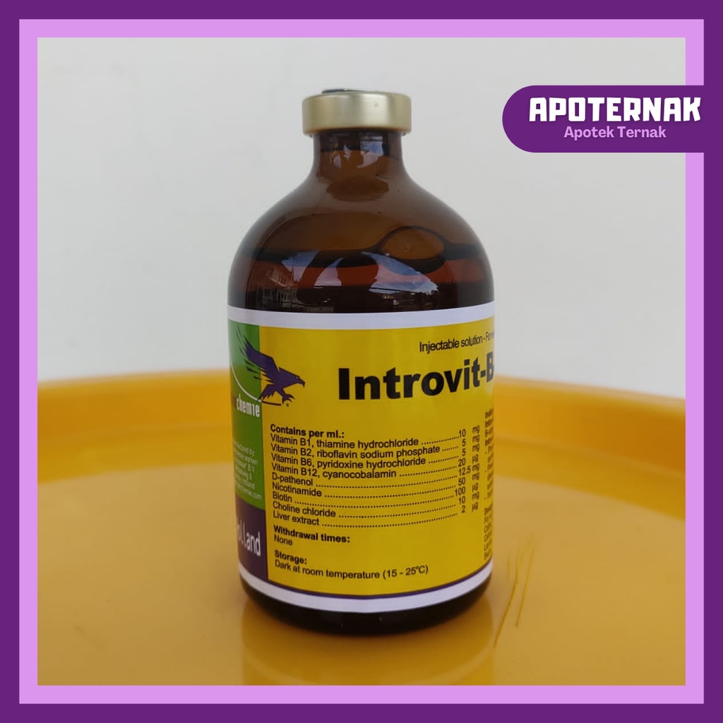 INTROVIT B COMPLEX | Vitamin B Komplek Konsentrasi Tinggi + Biotin | 100 mL | TMC | Apoternak