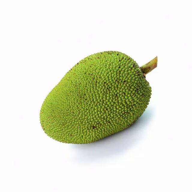 

nangka muda utuh 1buah 700-900gram