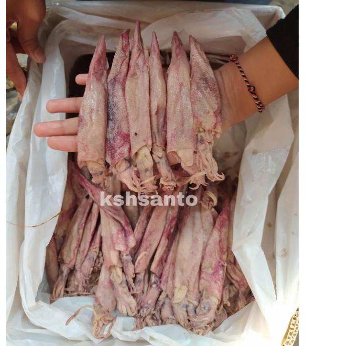 

SALE✅ikan asin cumi panjang-1kg|SQ1