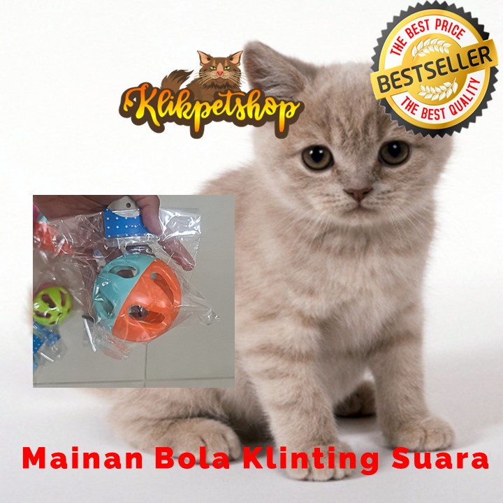 C1 Mainan Bola Klintingan Kuat Mainan Kucing Anjing