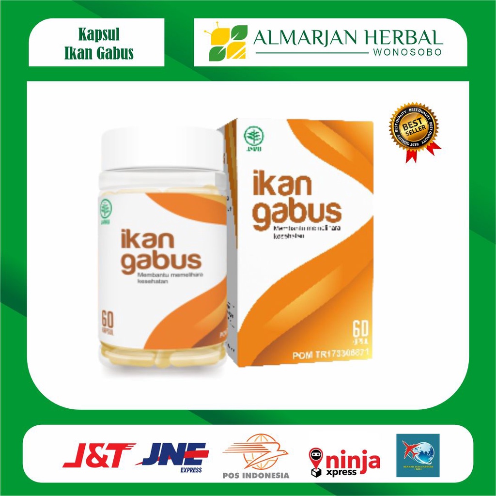 

KAPSUL KUTUK Ekstrak Ikan Gabus I Obat Pasca Operasi 5x Bekas Luka Jahitan Cepat Kering