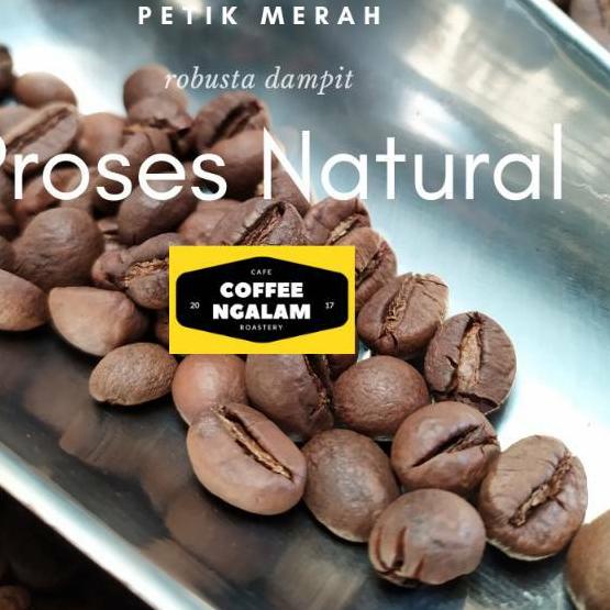 

EXCLUSIVE![Premium] Petik Merah Natural - kopi dampit robusta|SQ5