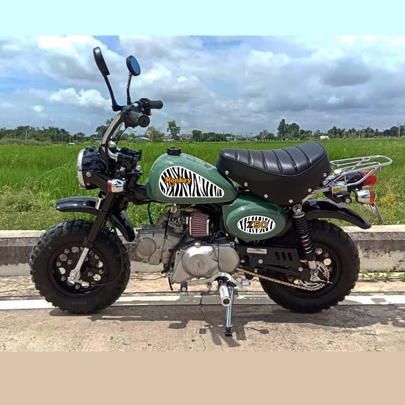 Sticker Decal Honda Z50 Monkey Zebra Hatesix