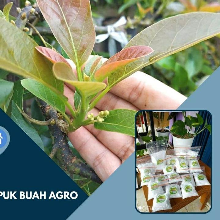 [KODE PRODUK RNW0910048] Pupuk agro/pupuk agro bibit/grosir pupuk agro bibit/pupuk pelebat buah/pupu