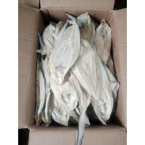 

Ikan Asin Cucut Satuan Hiu 1kg