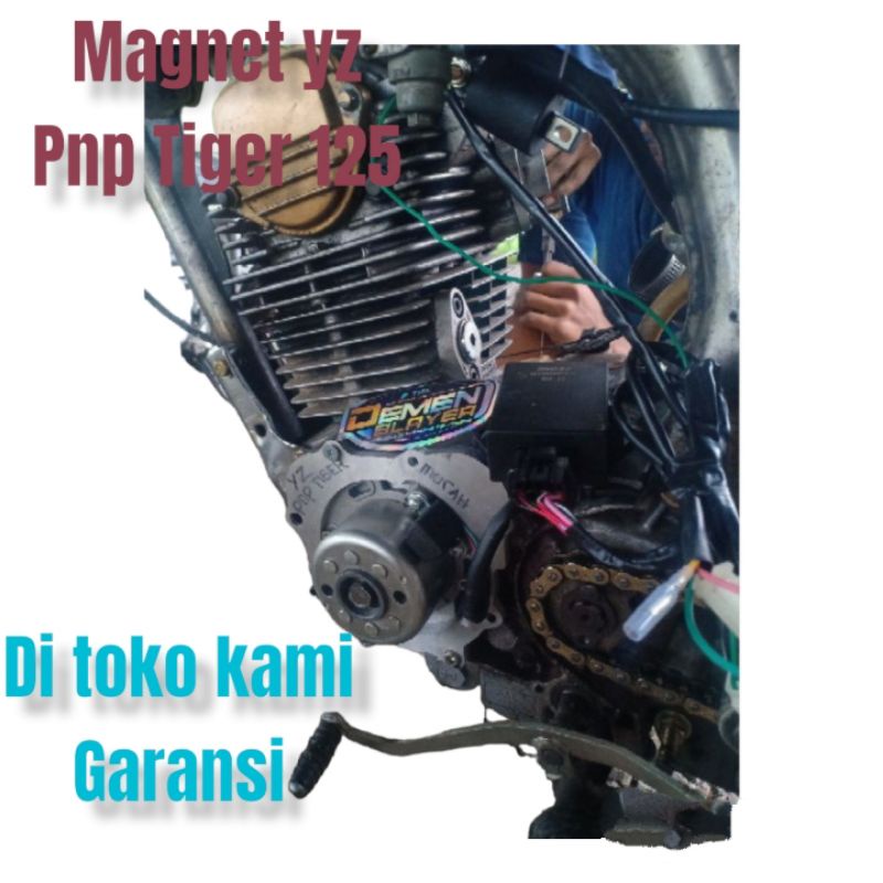 Pengapian Yz Thailand Pnp Tiger125 Honda GlPro MegaPro Cb125 Magnet Yz 125 Arus Ac Dc