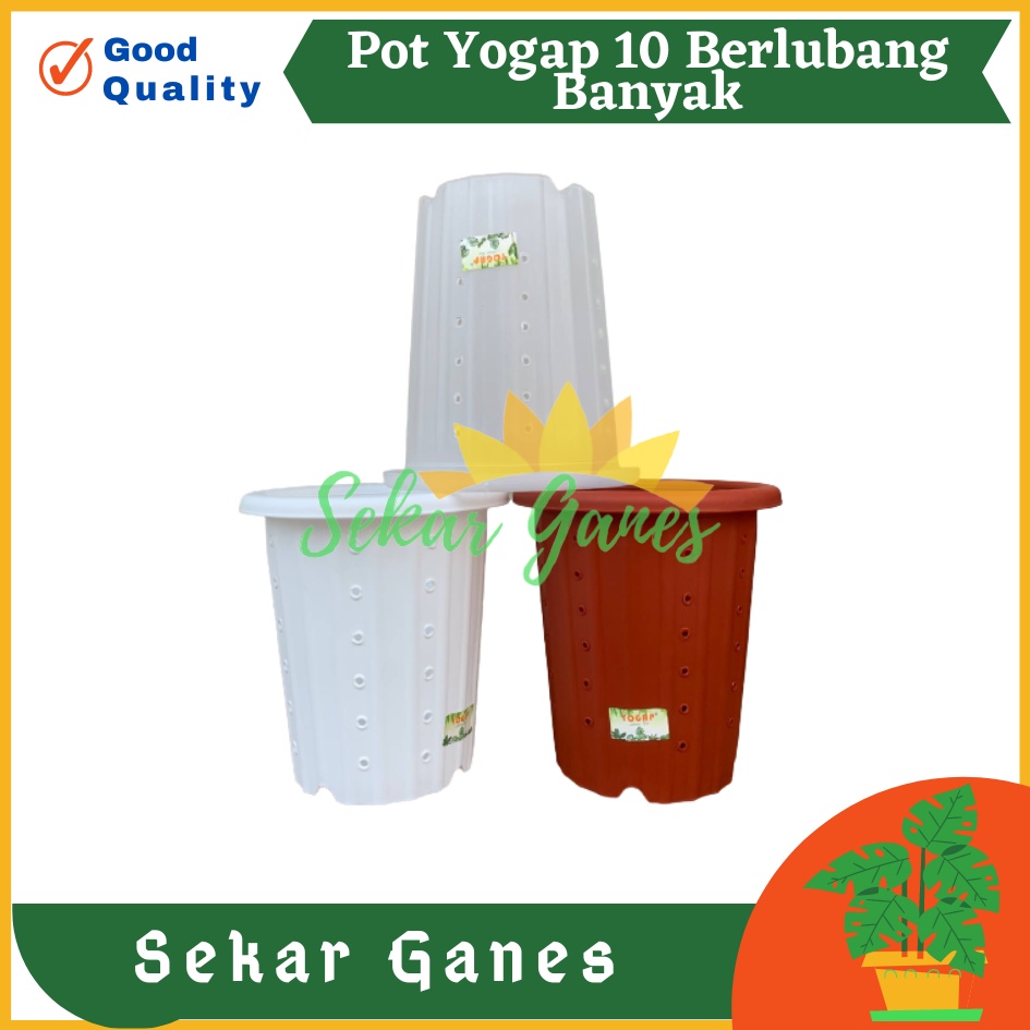 Pot Yogap 10 BERLUBANG Putih Bening Transparan Merah Bata Merah Coklat Terracota POT BUNGA YOGAP YPT 10 BERLUBANG BENING / TRANSPARAN PUTIH &amp; MERAH BATA | POT TANAMAN HIAS