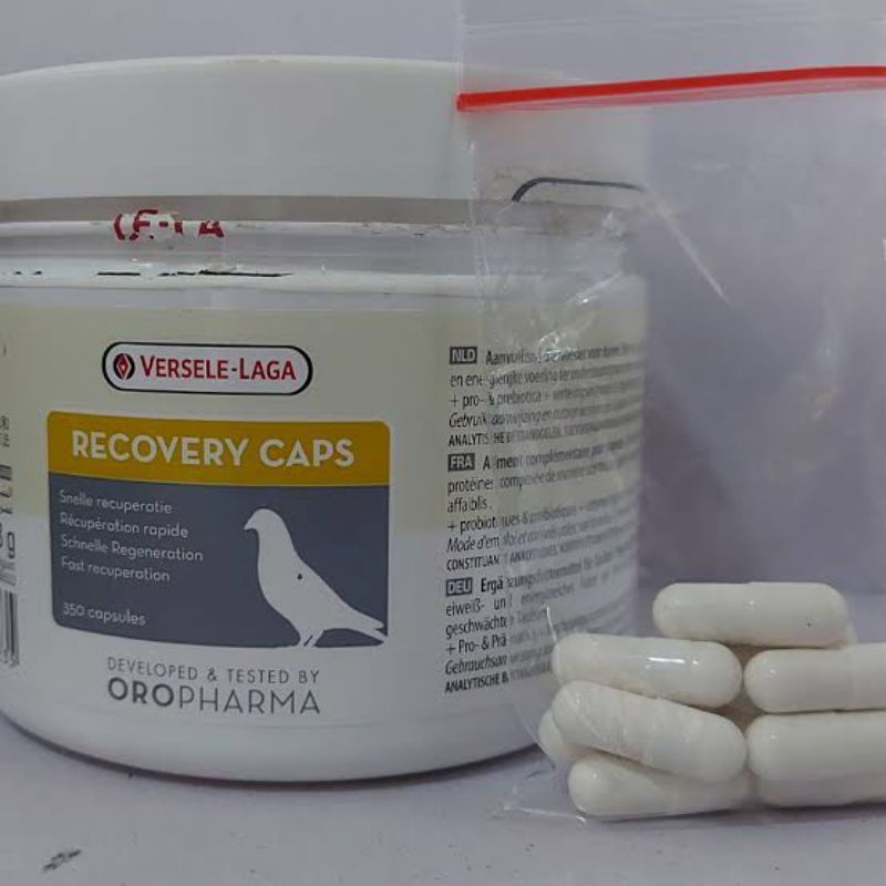 recovery caps verselelaga vitamin merpati 10 kapsul