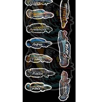 stiker logo ikan channa 1paket isi 10pcs ‑ PDK.18Oc22ž