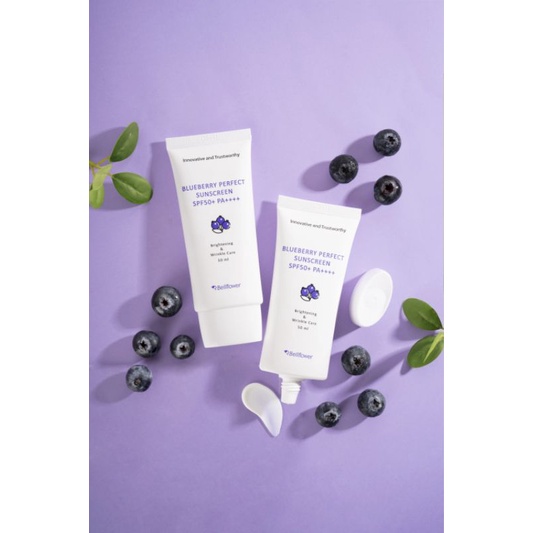 Bellflower blueberry perfect sunscreen spf 50 PA++++