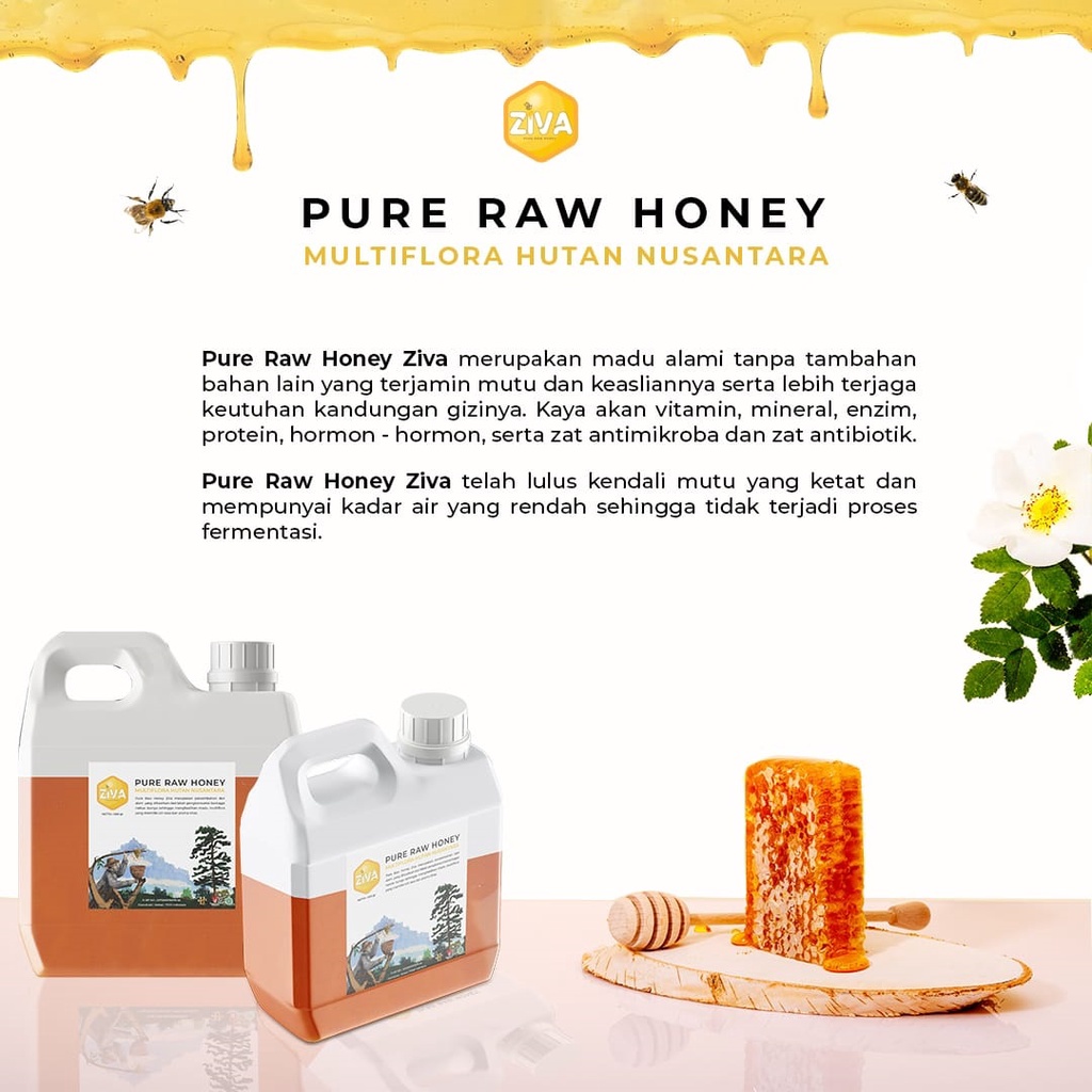 Madu Ziva Pure Raw Honey Madu Murni 100% Asli GRATIS EMAS Nektar Bunga Multiflora Terbaik Madu Alami Pure Raw Honey Natural Super Premium Madu Original Nectar Berbagai Bunga Hutan Nusantara 1000gr