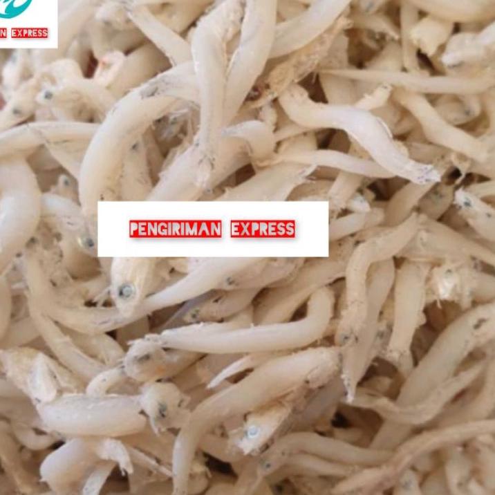 

✨COD✨ Ikan asin teri touge super fresh jumbo !!