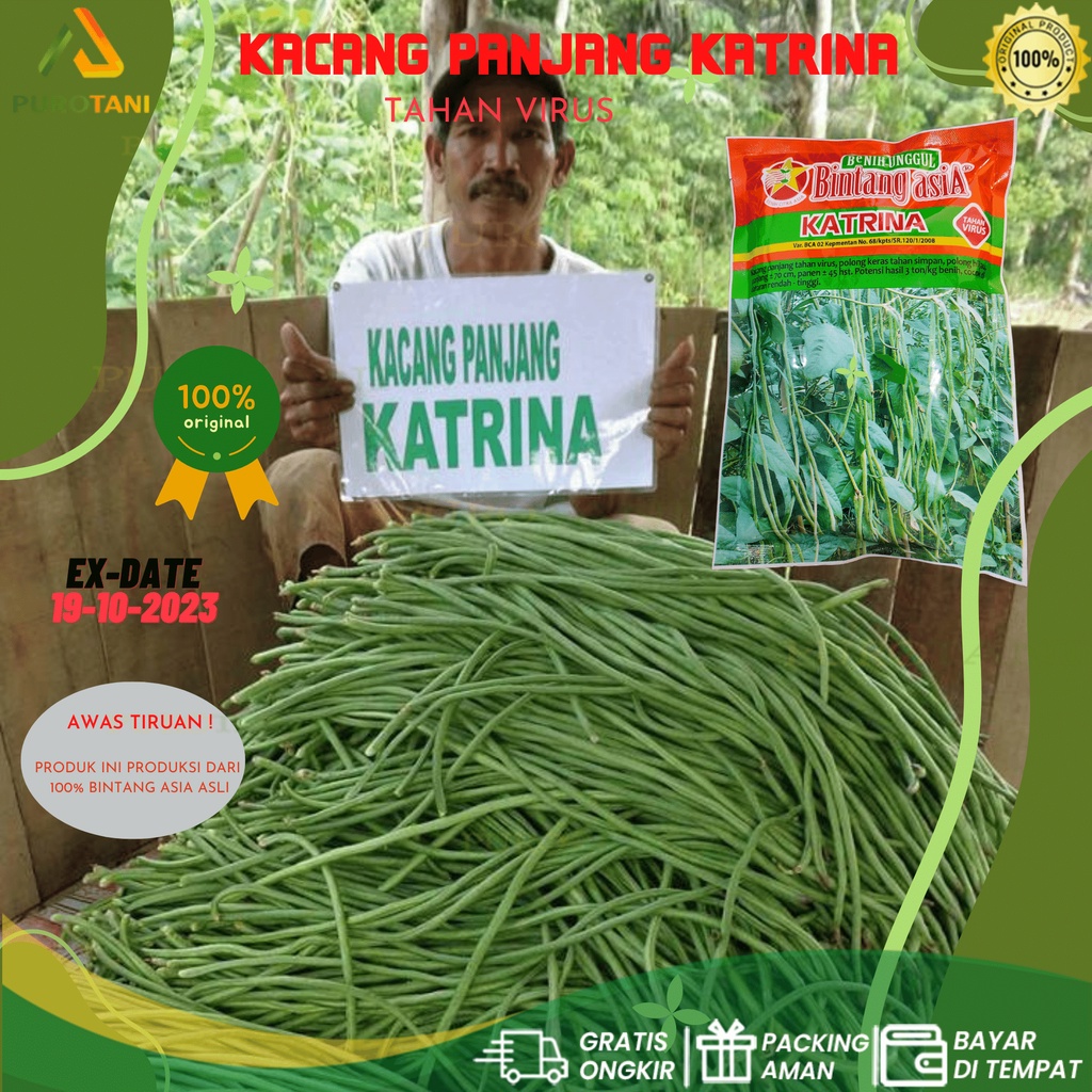 Biji Kacang Panjang Tahan Virus Kuning KATRINA 500 Gram Bintang Asia