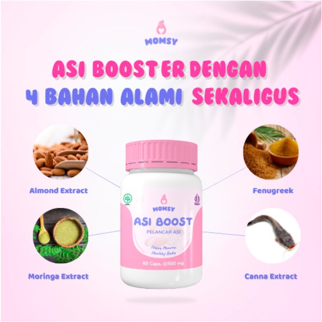 Asi Booster Pelancar Asi MOMSY BPOM HALAL Natural Almond Moringa / Kelor Ikan Gabus Fenugreek