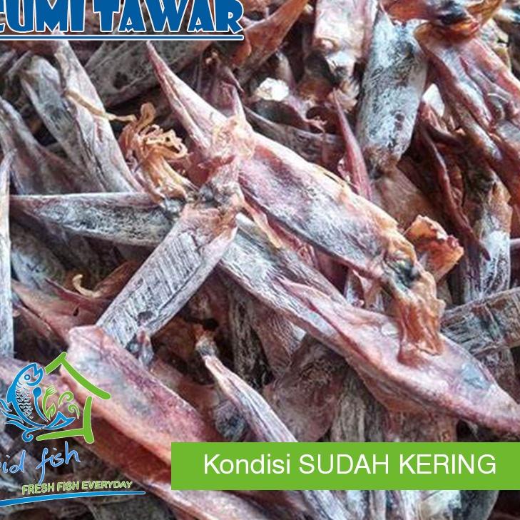 

CODEQ6c6B--Ikan cumi Tawar / ikan juhi Tawar / cumi kering kemasan 250 gam