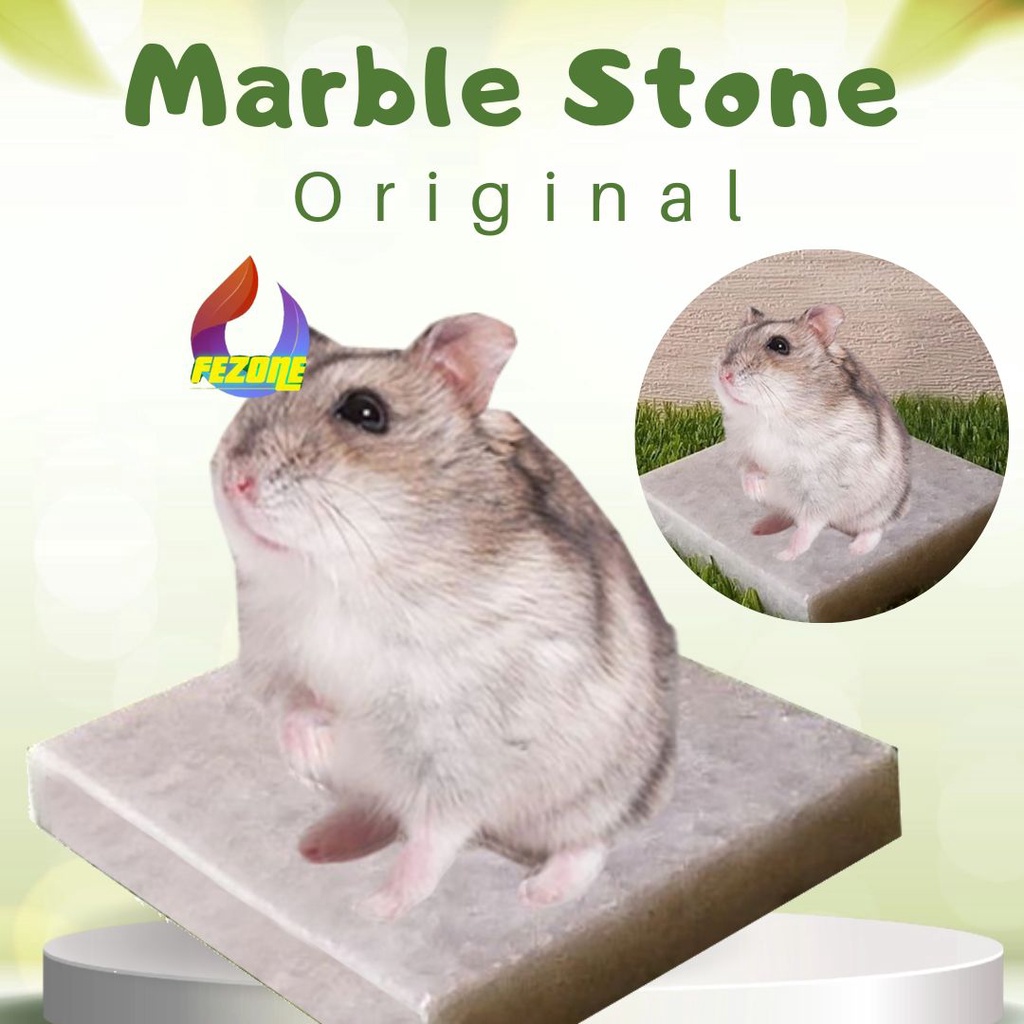 COOLING PAD HAMSTER MARBLE MARMER ALAS TIDUR PENYEJUK HAMSTER FEZONE