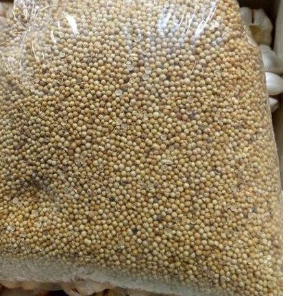 

HARGA GROSIR KETUMBAR ASLI 1KG buruan