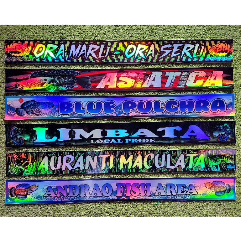 COSTUME / REQUEST STIKER IKAN GALAK HOLOGRAM