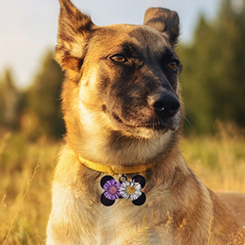 Siy Cetakan Resin 7 Lubang Bentuk Tulang Anjing Bahan Silikon Untuk Gantungan Kunci