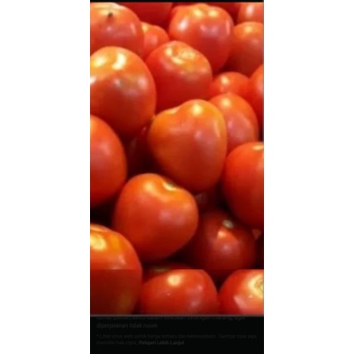 

tomat per500gr