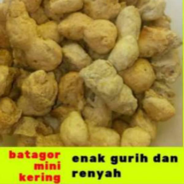 

Sedia--Batagor mini kering isi 50