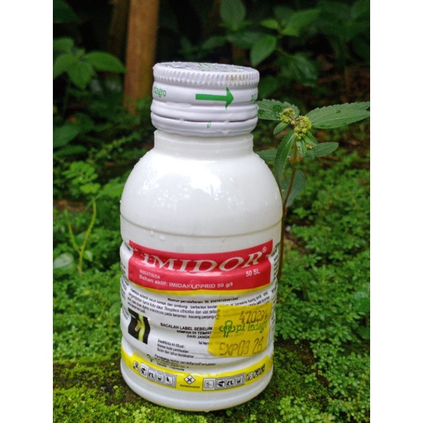 INSEKTISIDA IMIDOR 50 SL 500 ML bahan aktif IMIDAKLOPRID 50 g/l (PENGENDALI WERENG CABUK)
