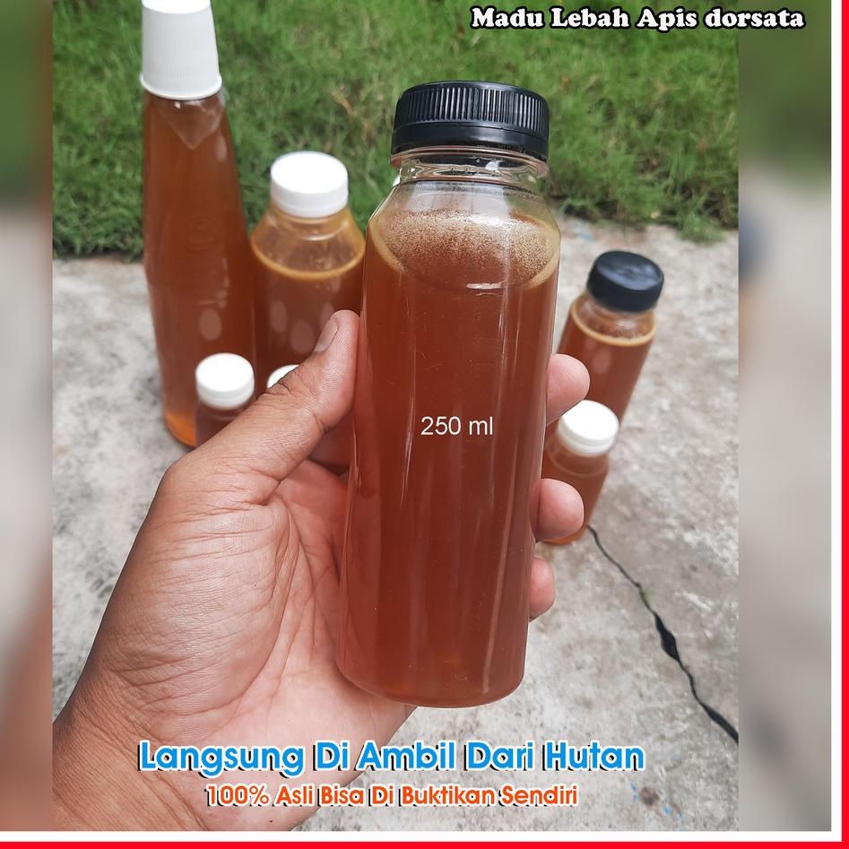 

Cek Disini--Madu Odeng / Madu Apis dorsata / Madu Hutan Asli Ciamis / Per 250 ml / Dijamin 100% Asli Karna di Ambil Dari Hutan Langsung