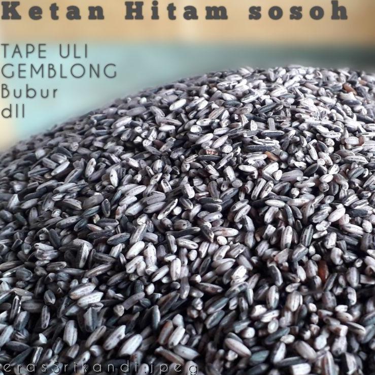 

Kodey5Y9k--Ketan hitam sosoh - hitam kupas utk tape - harga ecer 1KG