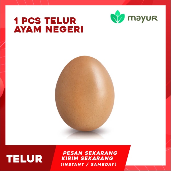 

Telur Ayam Negeri 1 Butir