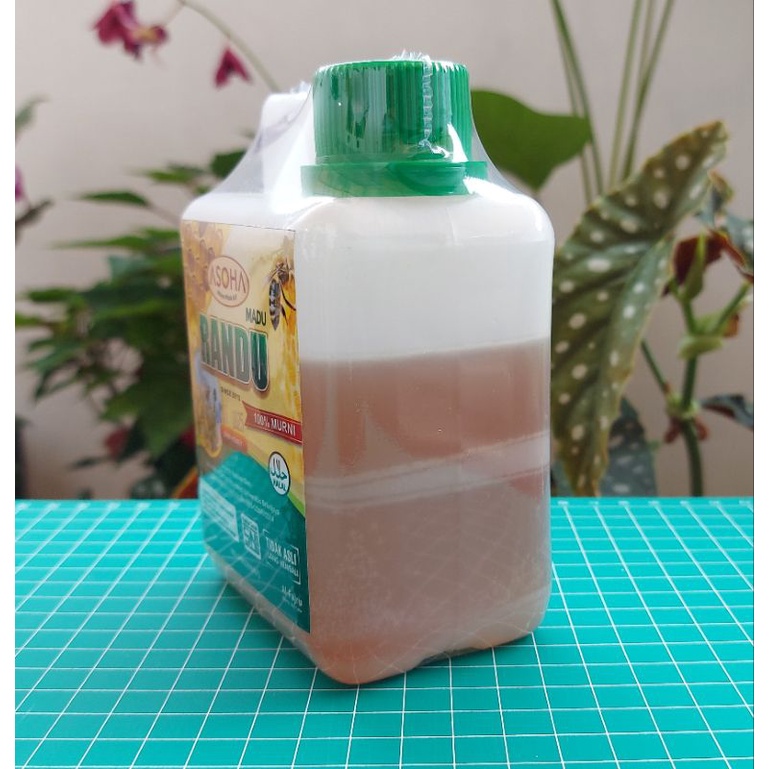 

Cahayadstore Asoha Madu Randu Pasuruan 500Gr Full Nektar Randu Madu Asli Madu Murni Obati Asam