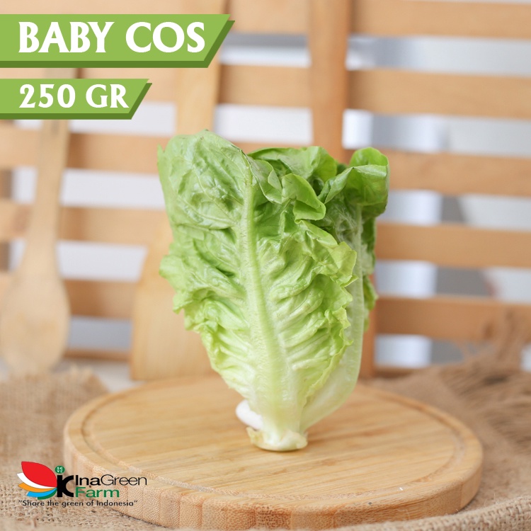 

Inagreen Farm Bandung Baby Cos Organik 250 Gram