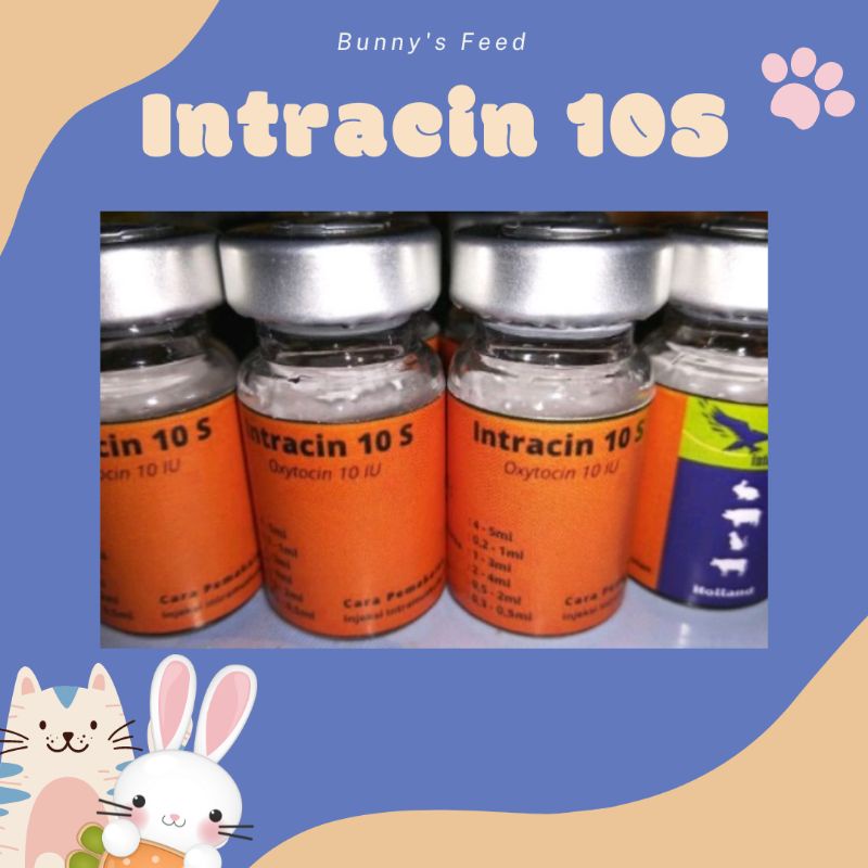 Intracin 10S (Oxytocin) 5 ml - Memperlancar Kelahiran Hewan Betina Kelinci Sapi Kambing Kucing