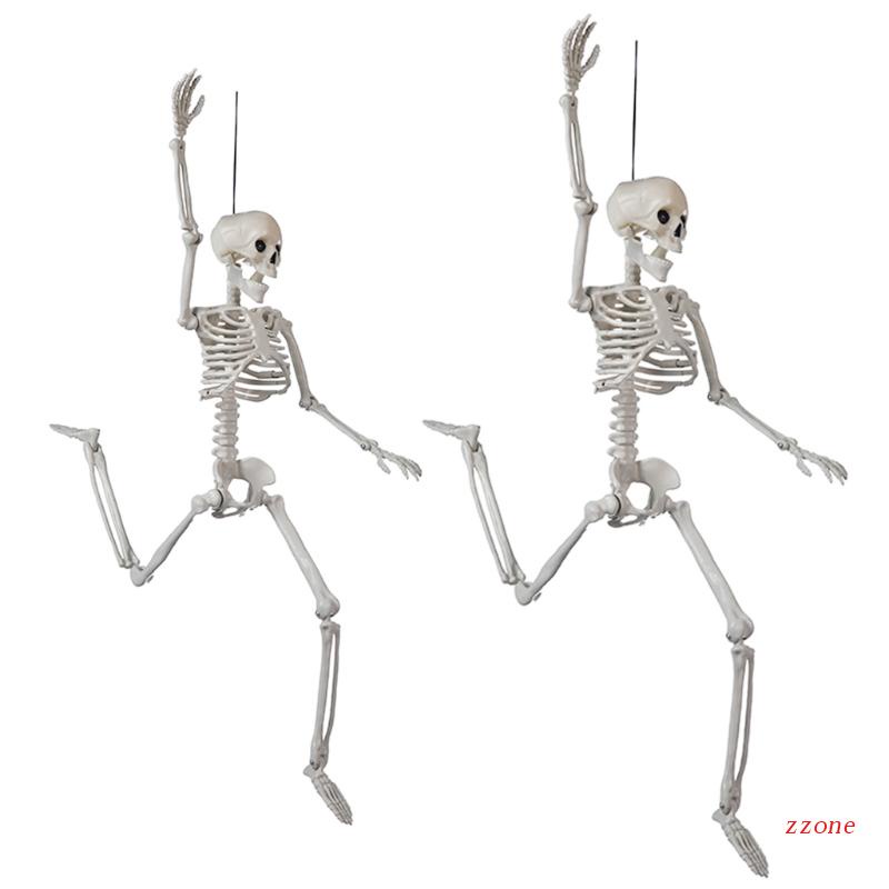 Tengkorak Full Body Posable Joints Untuk Dekorasi Pesta Halloween