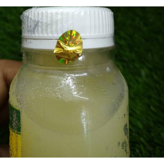 

SALE!![PAKET LARIS 500ml,350ml,250ml lebih hemat] Pure Lemone / Sari Lemon / lemon murni|SQ6