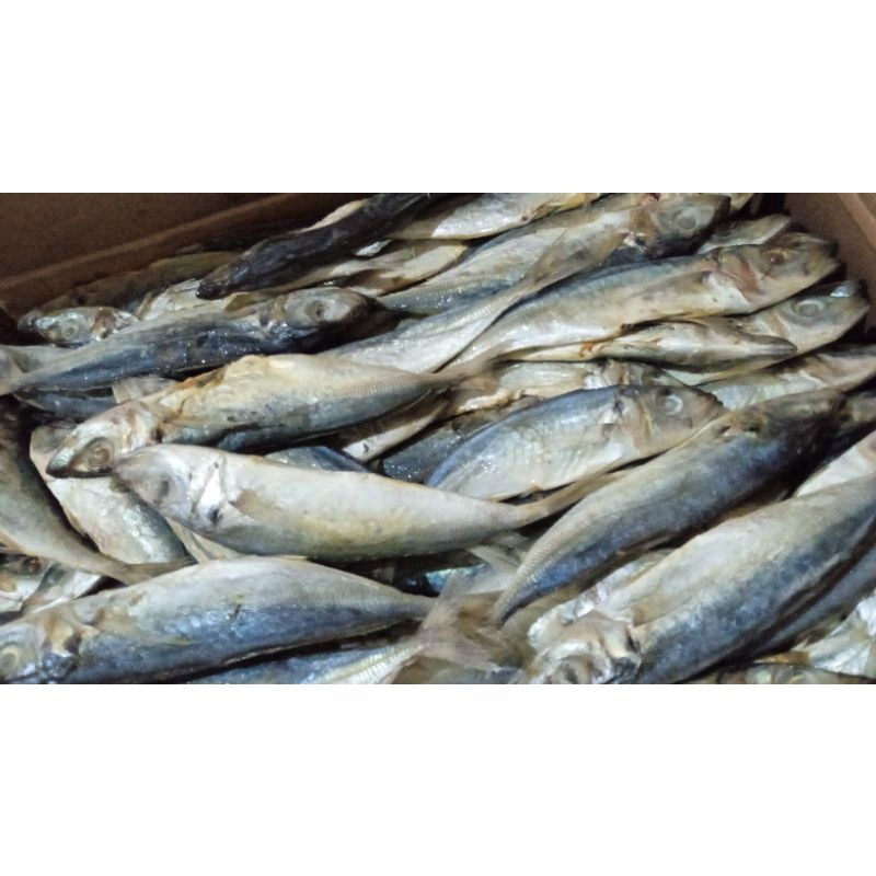 

termurah Ikan Asin klotok/peda/layang