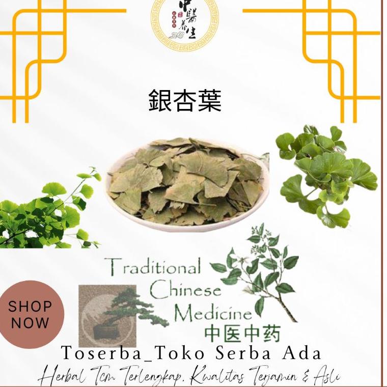 

Terbaru dan terlaris 100gr Herbal Yin Xing Ye 銀杏葉 Daun Ginkgo Biloba Folium Ginkgo Leaf Ginkgobiloba Ginkgo Biloba Premium Grade grosir