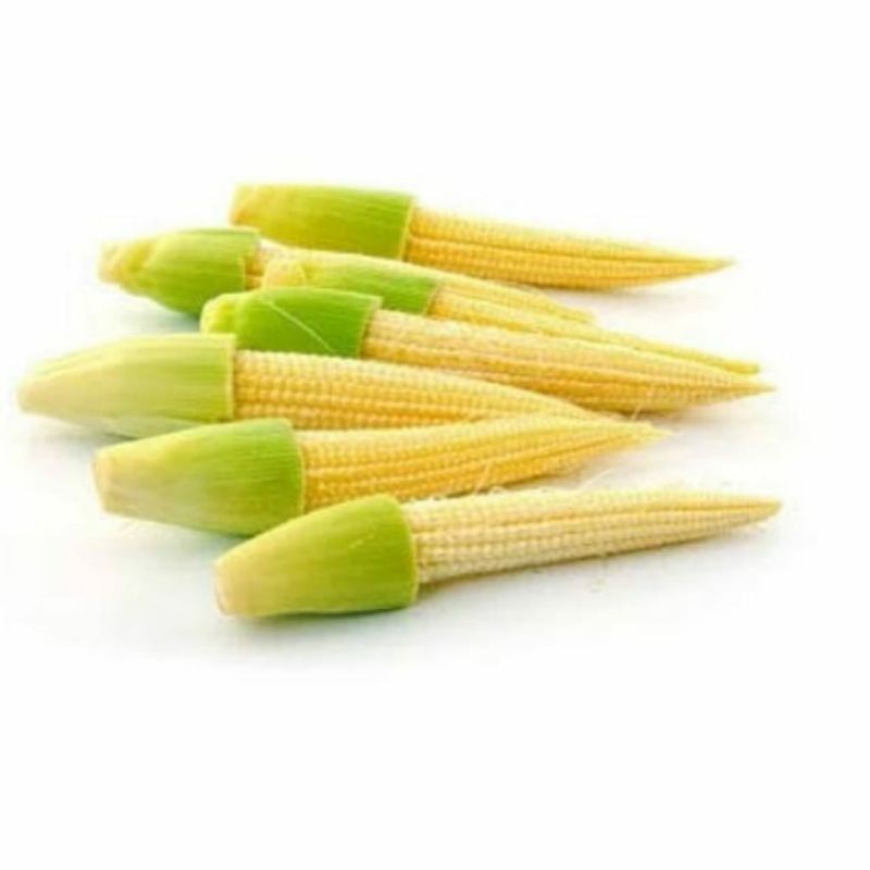 

Jagung muda 250 gr baby corn