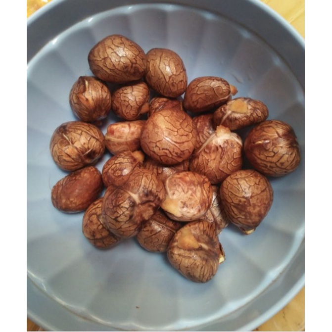 

biji kluwih (Artocarpus camansi)/ biji kulur 1kg