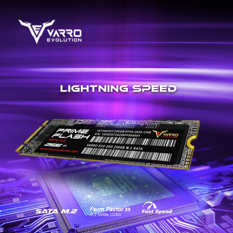 SSD M2 SATA 256GB VARRO