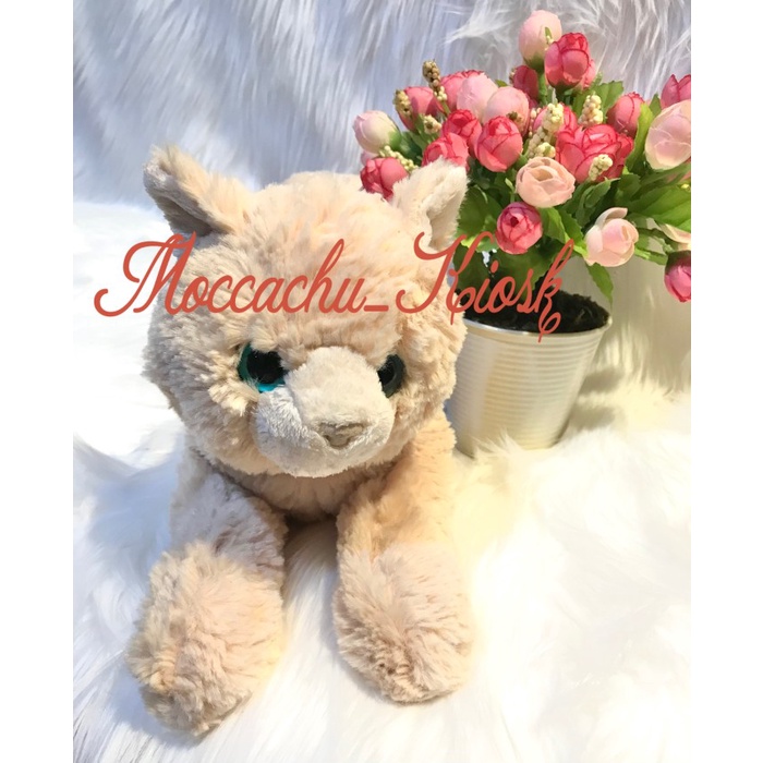 Sale Sunlemon Plush Doll Hizaneko Exotic Shorthair Cream/Boneka Kucing Krem Diskon